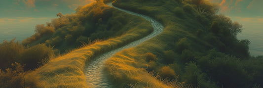 Unleashing the Power of School Fundraising Companies: A Path to Success