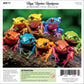 Frogs' Rainbow Rendezvous
