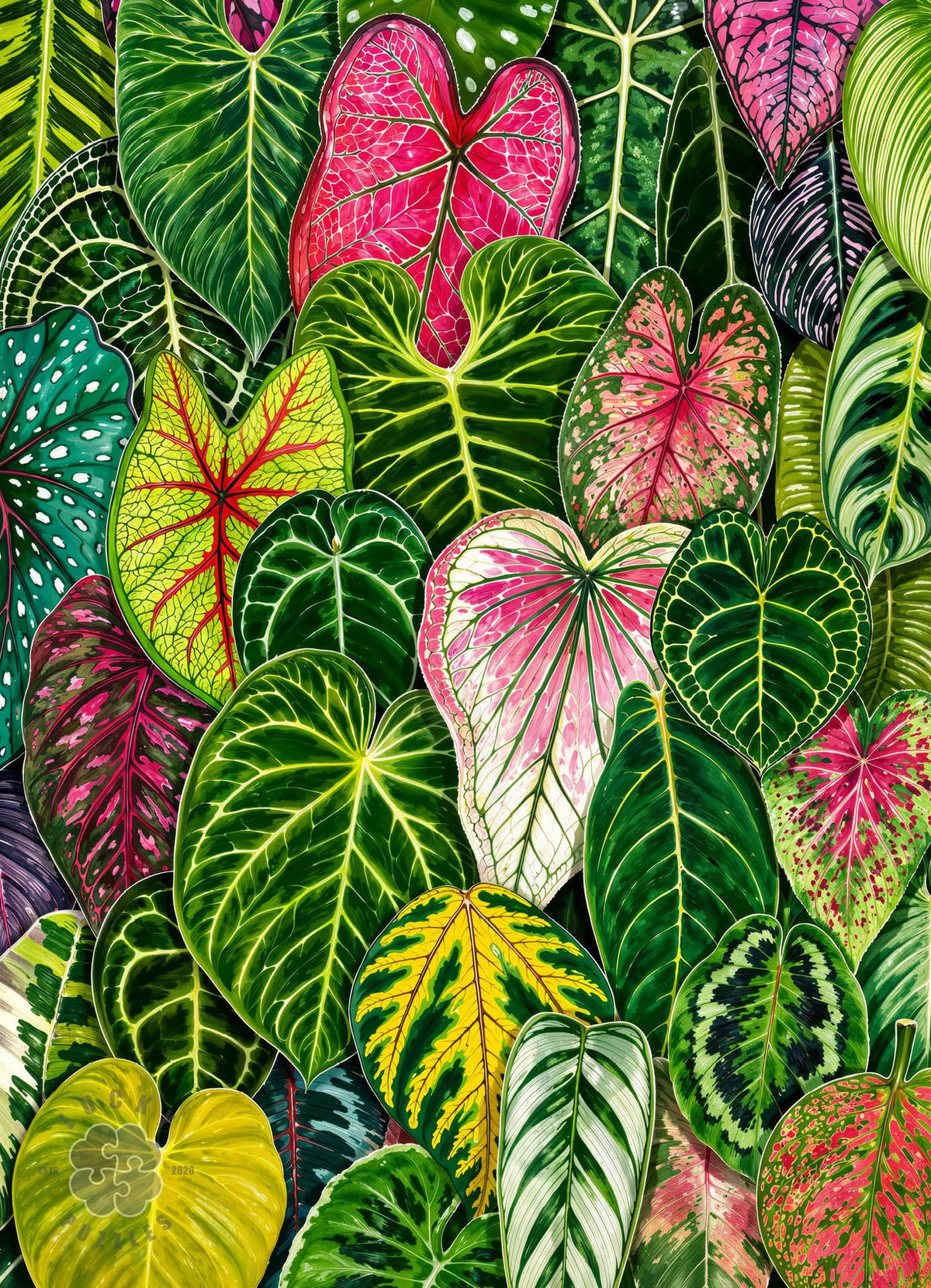 Plant Puzzle – Botanical Symphony – 1000 Piece Puzzle