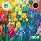 Rainbow of the Iris