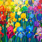 Flower Puzzle – Rainbow of the Iris – 1000 Piece Puzzle
