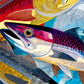 Fish Puzzle – Catch of Colour – 1000 Piece Puzzle