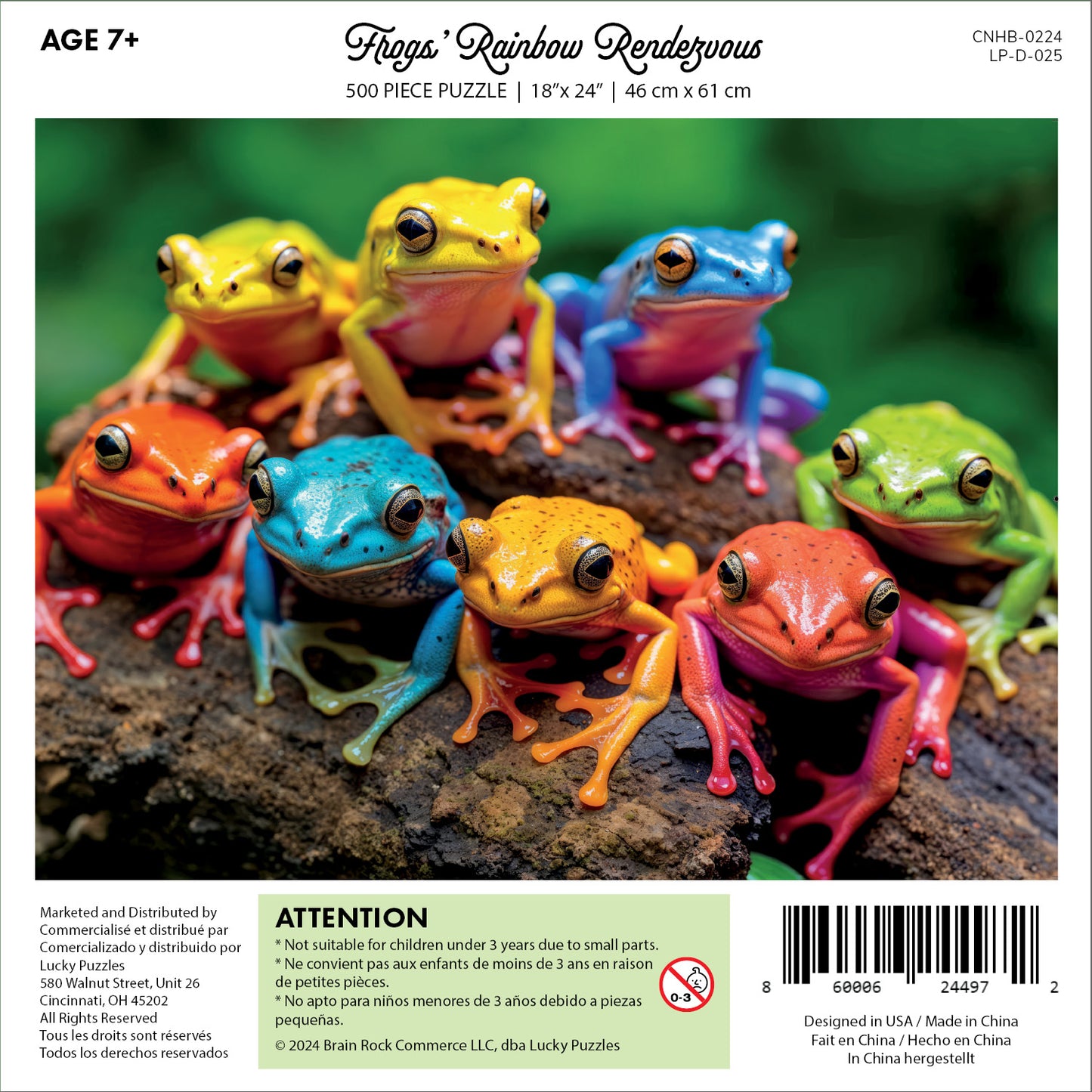 Frogs' Rainbow Rendezvous