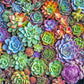 Green Thumb Gala