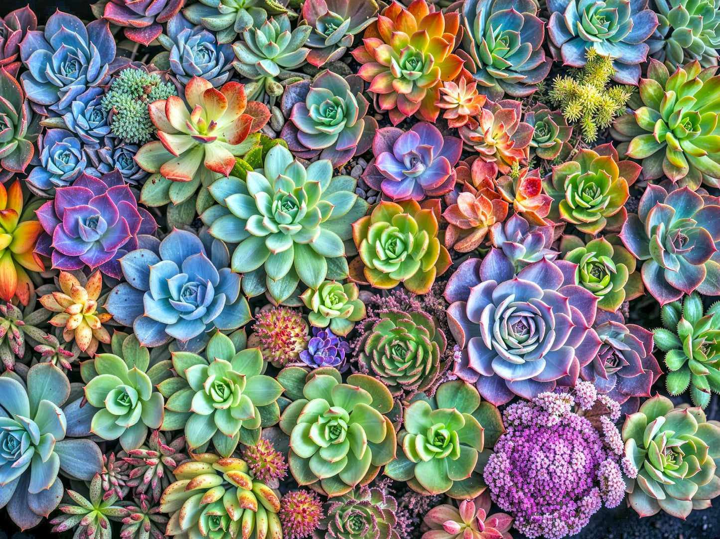 Green Thumb Gala